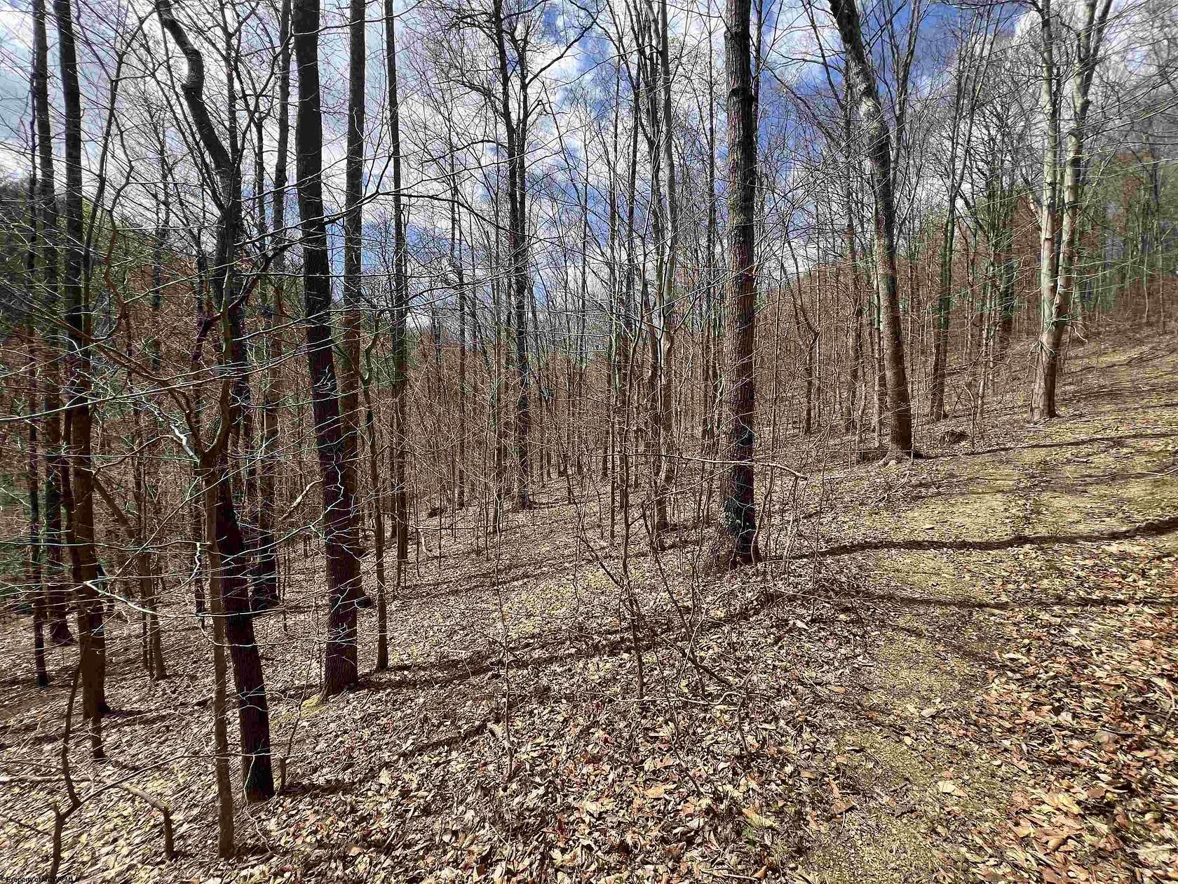 1.4 Acres of Residential Land for Sale in Junior, West Virginia