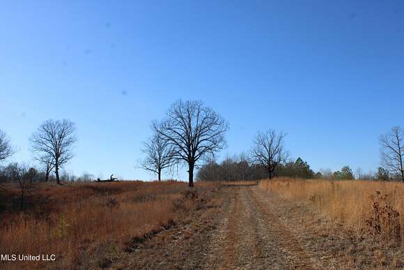 184 Acres of Recreational Land & Farm for Sale in Ripley, Mississippi