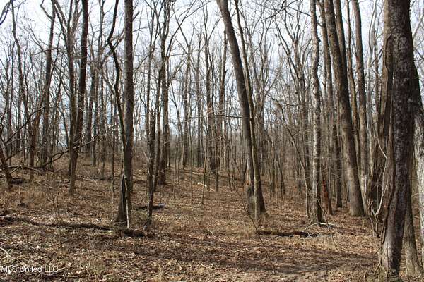 8.2 Acres of Land for Sale in Holly Springs, Mississippi