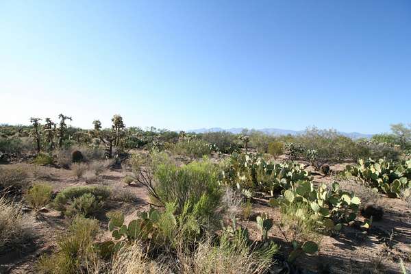 21.5 Acres of Commercial Land for Sale in Tucson, Arizona