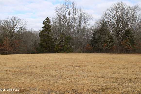 10 Acres of Land for Sale in Olive Branch, Mississippi