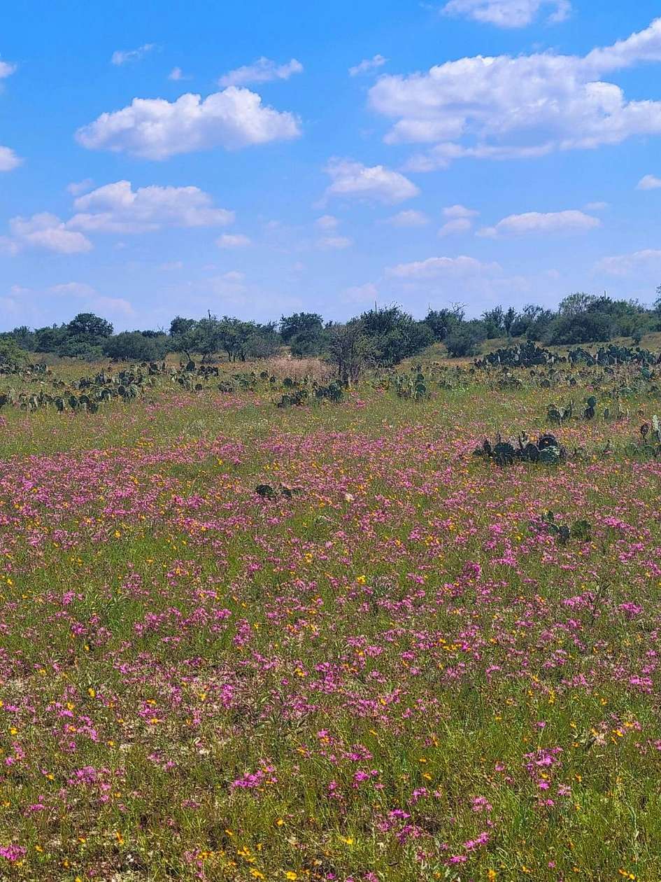85 Acres of Land with Home for Sale in Brownwood, Texas