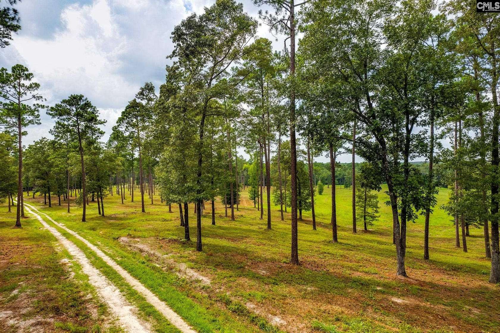 20 Acres of Recreational Land for Sale in Rembert, South Carolina