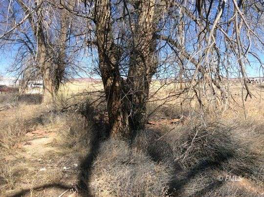 3.8 Acres of Residential Land for Sale in Fredonia, Arizona