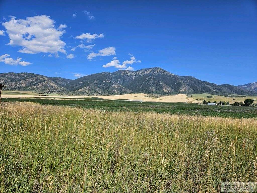 95.7 Acres of Agricultural Land for Sale in Swan Valley, Idaho