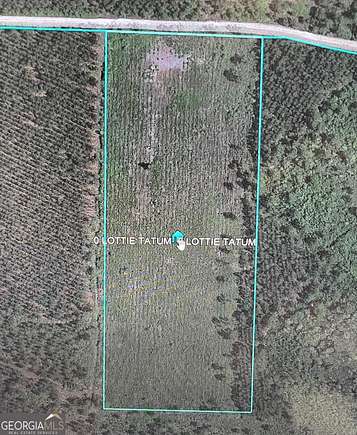 10 Acres of Residential Land for Sale in Waycross, Georgia