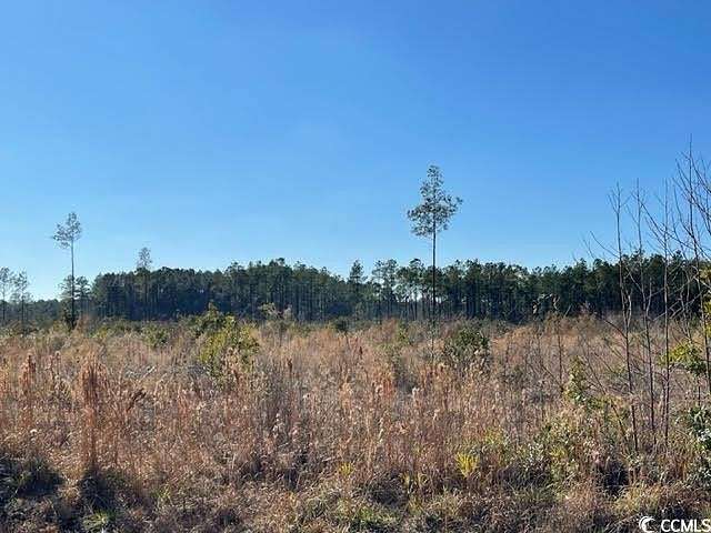 20 Acres of Land for Sale in Conway, South Carolina