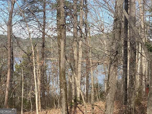 9.4 Acres of Residential Land for Sale in Toccoa, Georgia