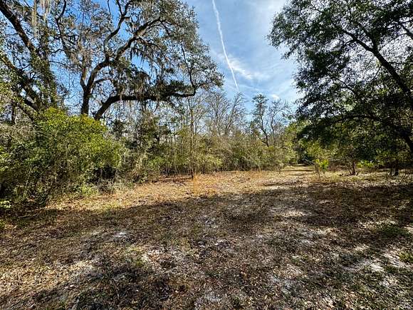 936 Acres of Recreational Land for Sale in Lamont, Florida - LandSearch