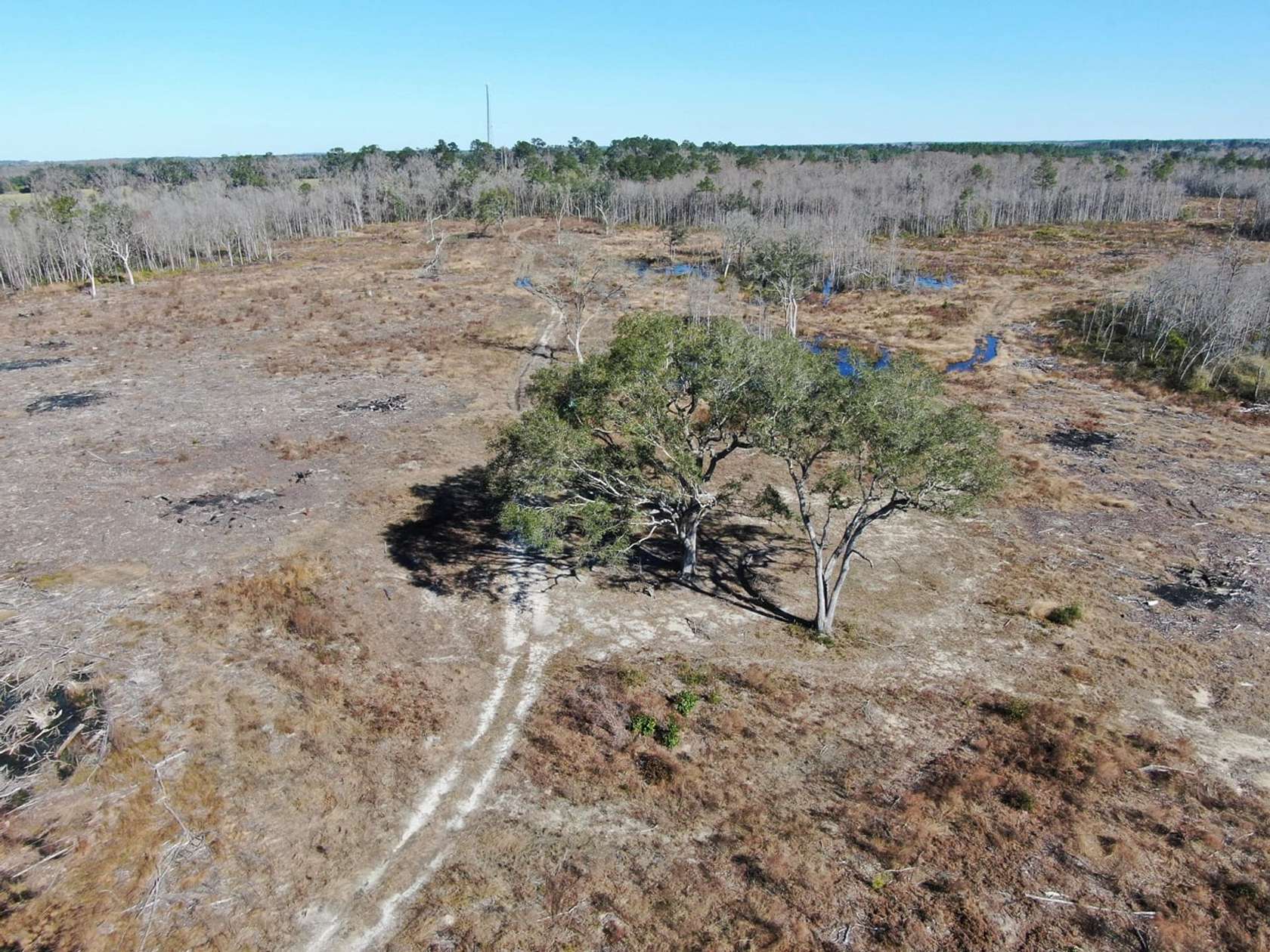 155 Acres of Recreational Land for Sale in Madison, Florida