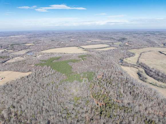 104 Acres of Recreational Land for Sale in Centerville, Tennessee