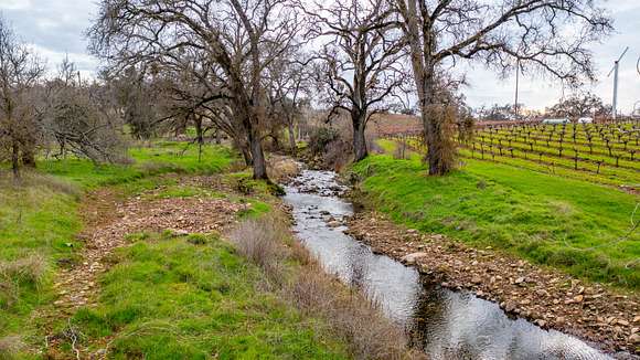 40 Acres of Agricultural Land for Sale in Plymouth, California