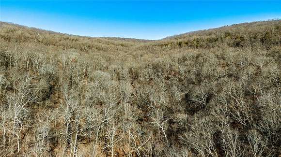 40 Acres of Recreational Land for Sale in Natural Dam, Arkansas