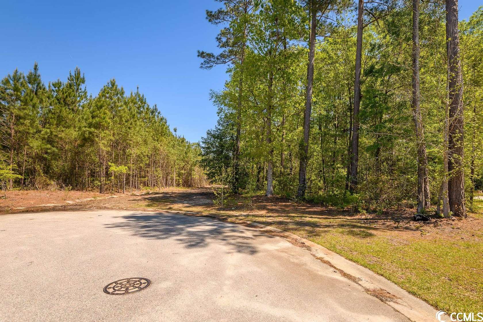 0.94 Acres of Residential Land for Sale in Florence, South Carolina