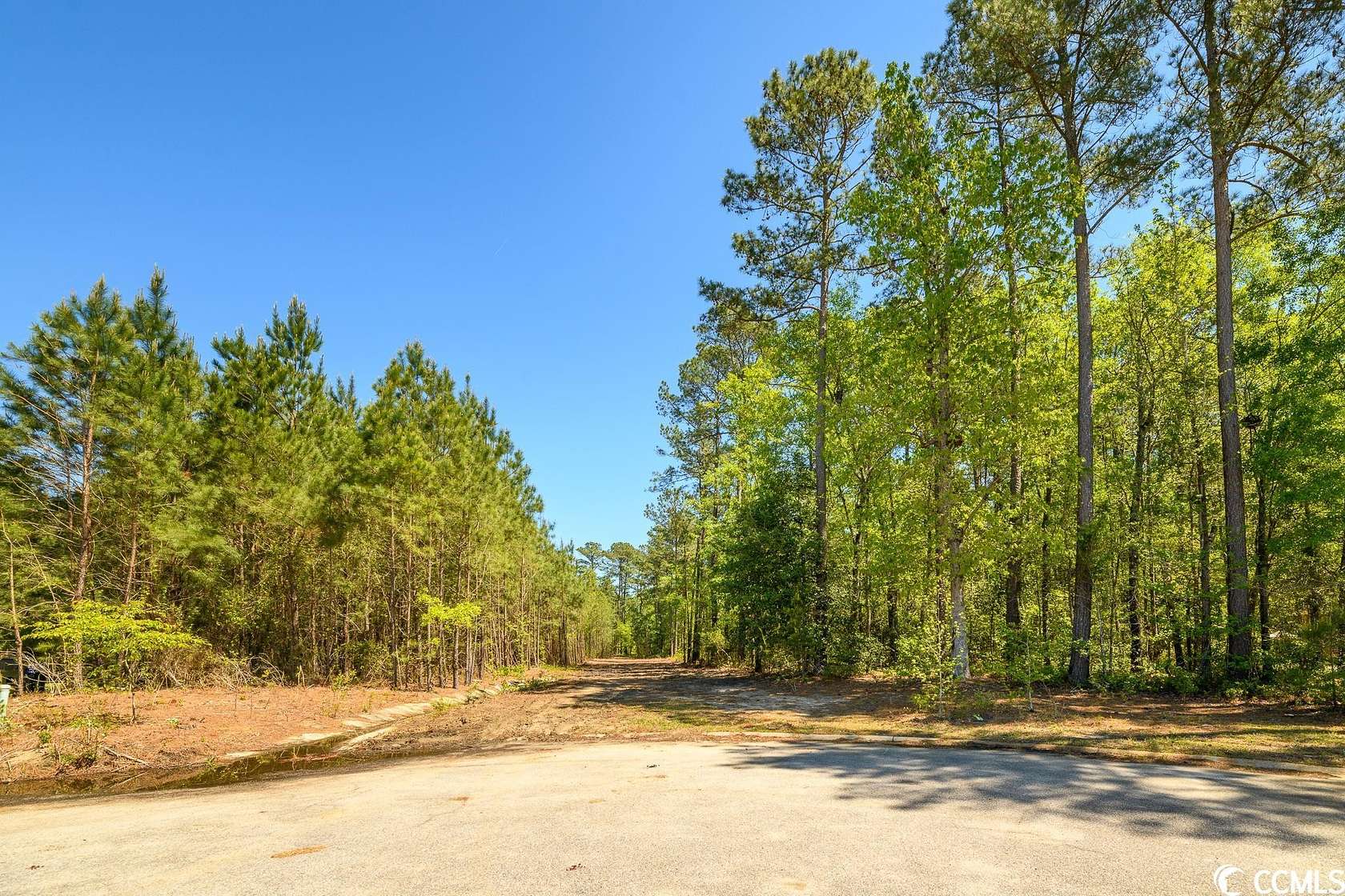 1.1 Acres of Residential Land for Sale in Florence, South Carolina