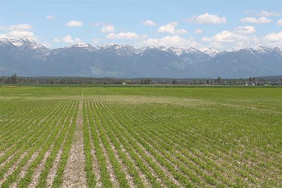 5.17 Acres of Residential Land for Sale in Kalispell, Montana