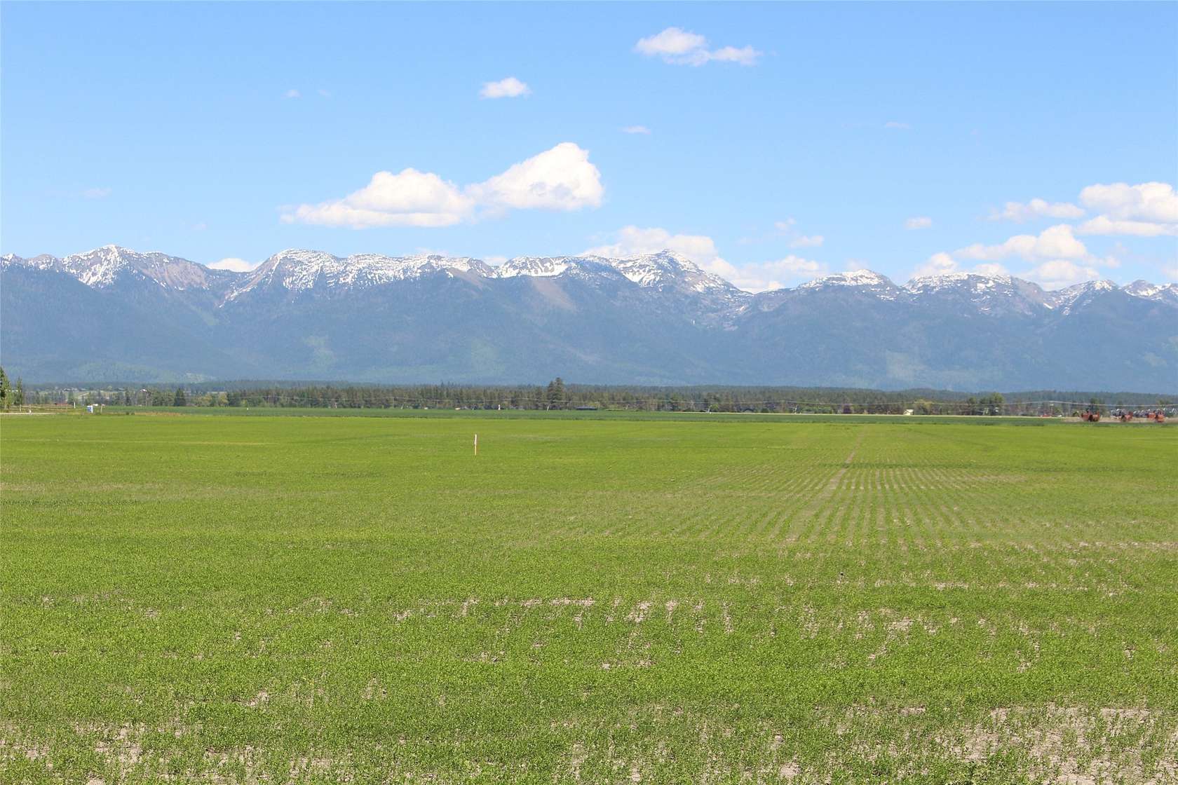 16.7 Acres of Land for Sale in Kalispell, Montana