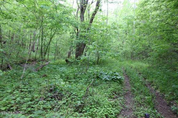 94 Acres of Land for Sale in Sevierville, Tennessee