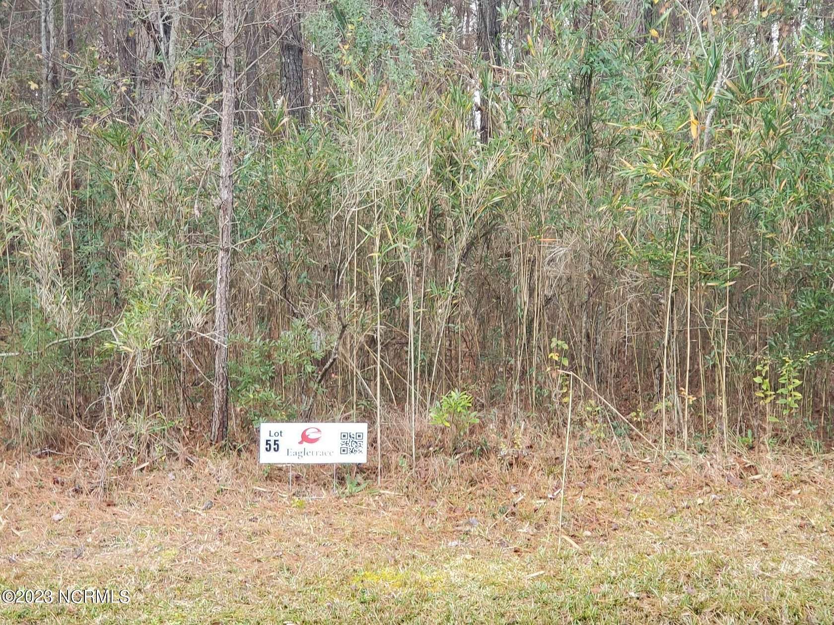 2.9 Acres of Residential Land for Sale in Blounts Creek, North Carolina