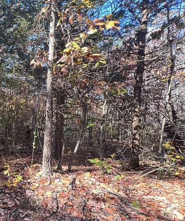 12 Acres of Recreational Land for Sale in Middleton, Tennessee