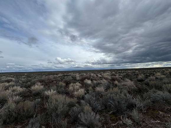 80 Acres of Agricultural Land for Sale in Christmas Valley, Oregon