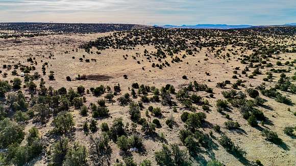 10.3 Acres of Land for Sale in Red Hill, New Mexico
