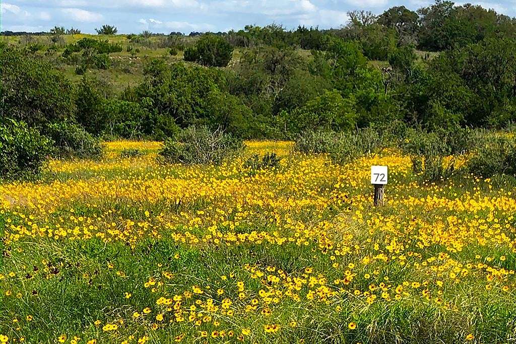 5.9 Acres of Residential Land for Sale in Johnson City, Texas