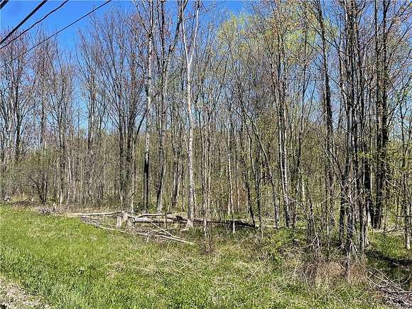 1.1 Acres of Residential Land for Sale in Marcy, New York