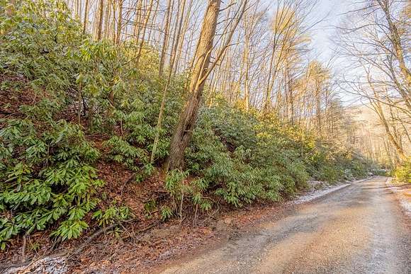 3 Acres of Residential Land for Sale in Bland, Virginia