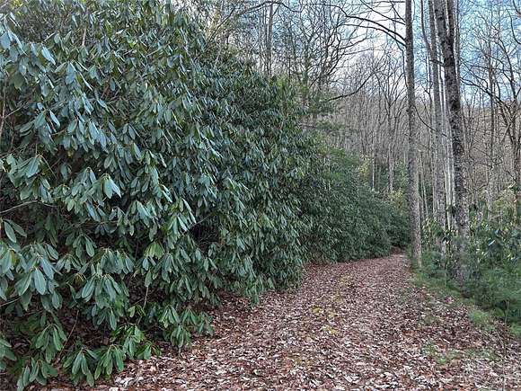 0.92 Acres of Land for Sale in Hendersonville, North Carolina