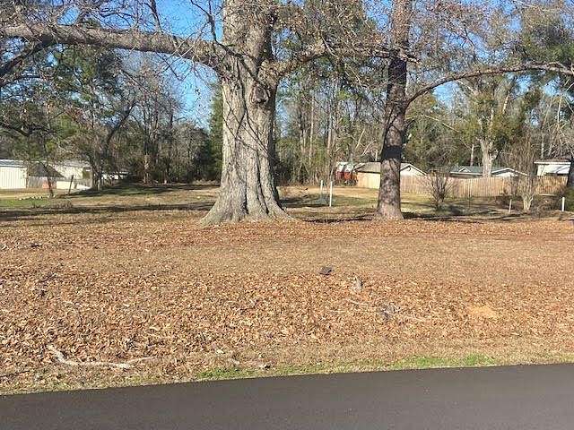 1.1 Acres of Residential Land for Sale in Waynesboro, Mississippi
