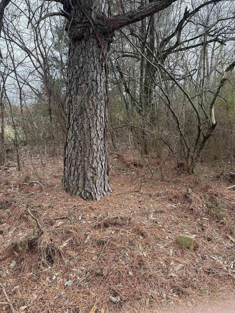 3 Acres of Residential Land for Sale in Quitman, Arkansas