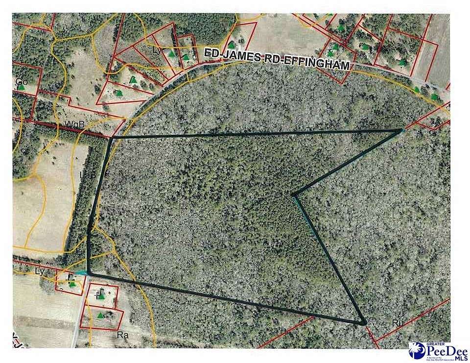 51.4 Acres of Recreational Land for Sale in Effingham, South Carolina