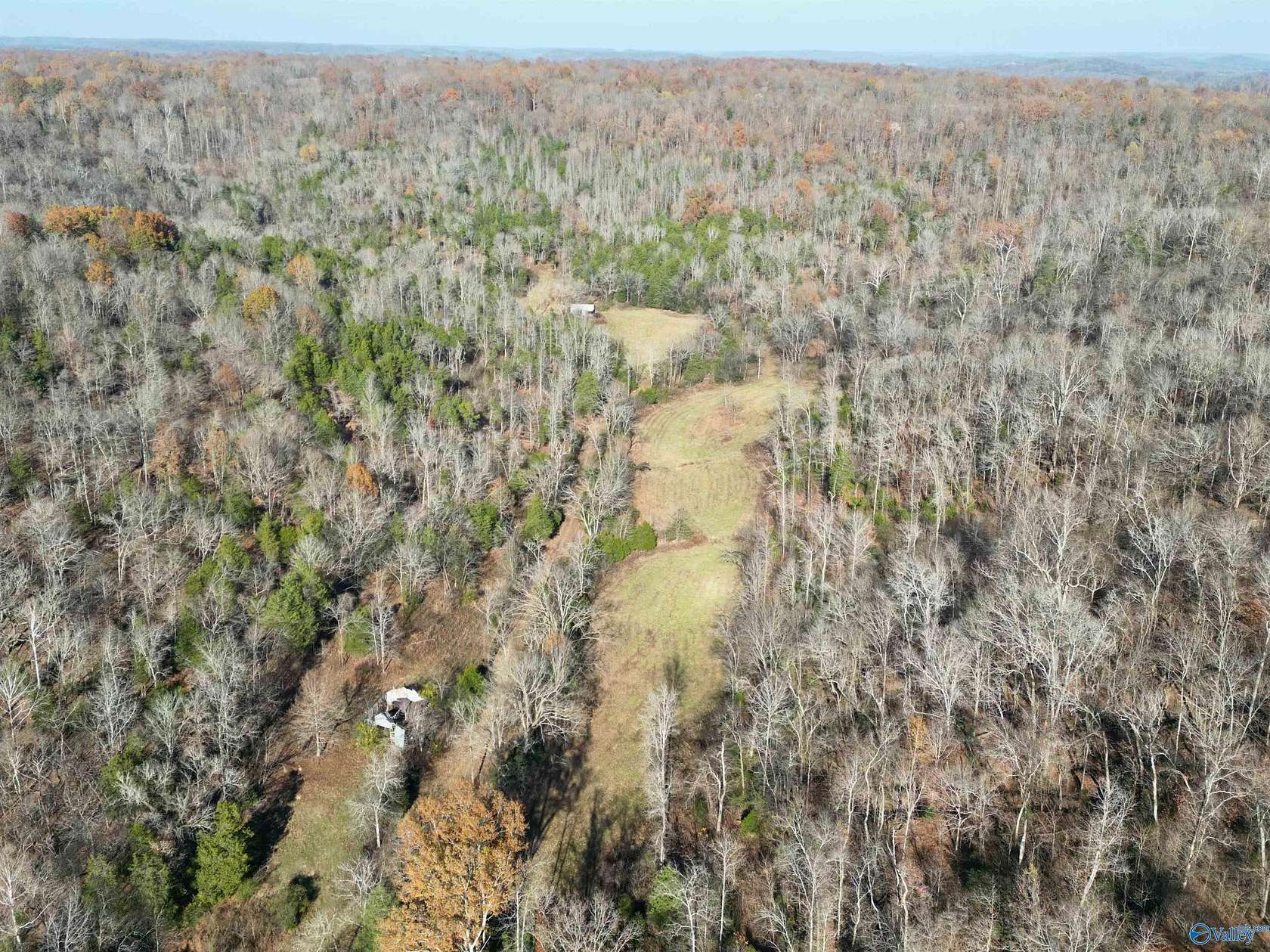 74.3 Acres of Land for Sale in Frankewing, Tennessee