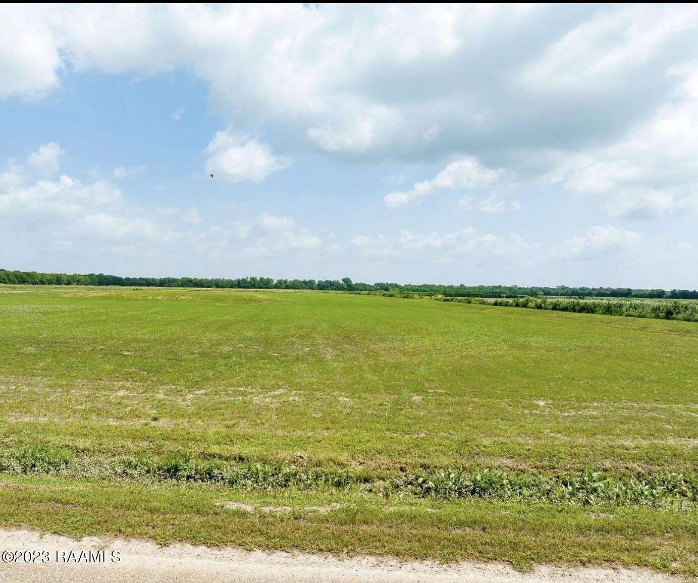 3.1 Acres of Land for Sale in Basile, Louisiana