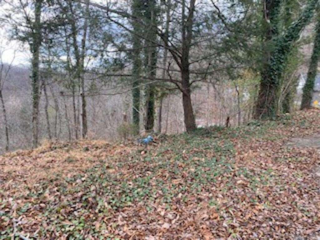 0.54 Acres of Residential Land for Sale in Pikeville, Kentucky