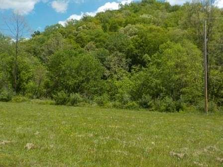 0.5 Acres of Residential Land for Sale in Ivel, Kentucky