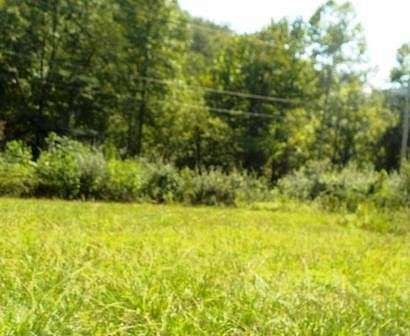 0.86 Acres of Residential Land for Sale in Ivel, Kentucky