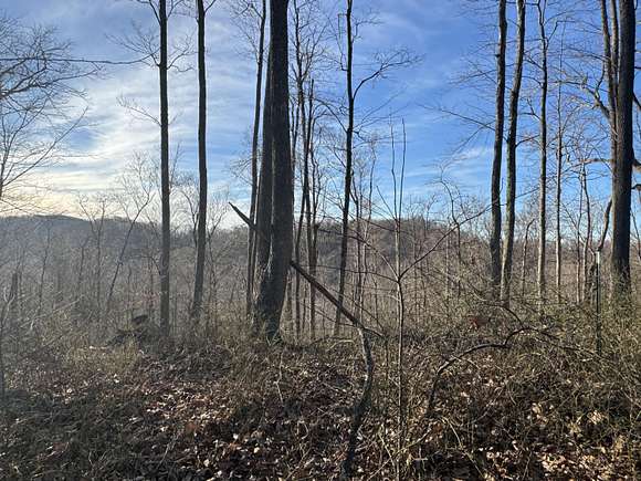 0.25 Acres of Land for Sale in Sutton, West Virginia