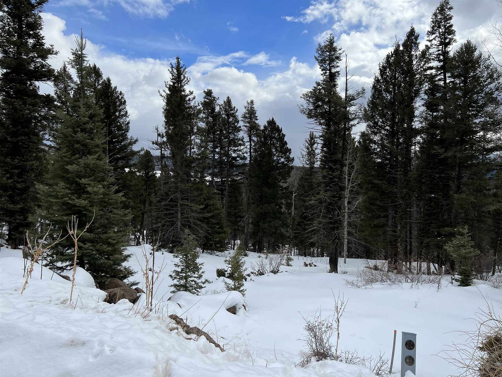 0.85 Acres of Residential Land for Sale in Angel Fire, New Mexico