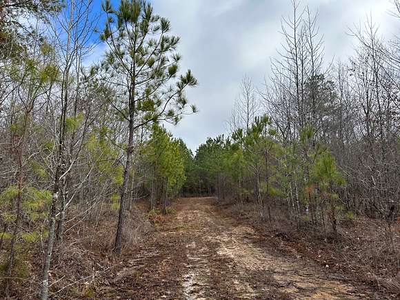 232 Acres of Recreational Land & Farm for Sale in Taylor, Mississippi