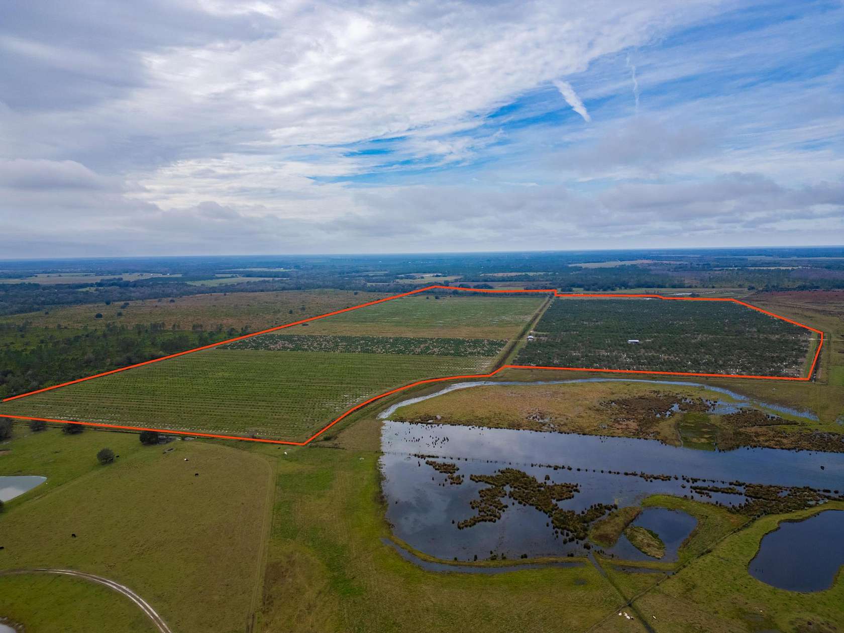 213 Acres of Recreational Land for Sale in Zolfo Springs, Florida