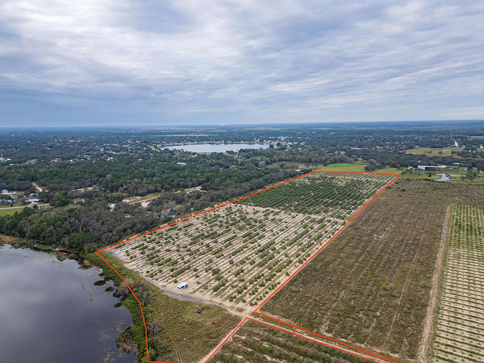 34.3 Acres of Recreational Land for Sale in Avon Park, Florida