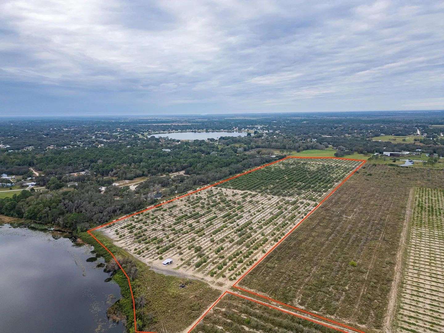 34.3 Acres of Land for Sale in Avon Park, Florida