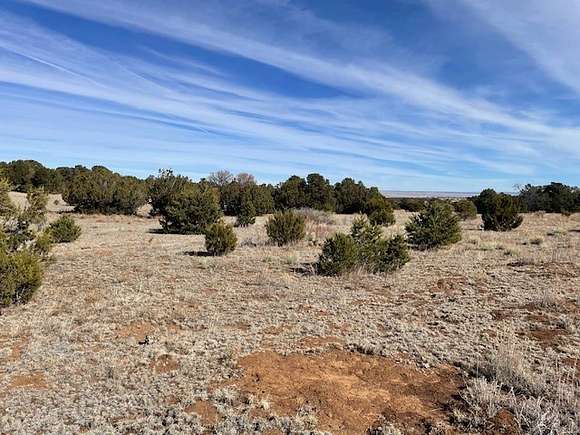 38.7 Acres of Land for Sale in Edgewood, New Mexico