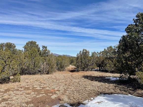 38.74 Acres of Recreational Land for Sale in Edgewood, New Mexico ...