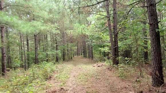 56.1 Acres of Land for Sale in Robbins, Tennessee