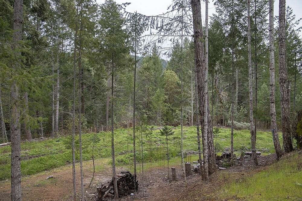 37.26 Acres of Recreational Land & Farm for Sale in Selma, Oregon