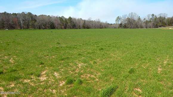 2 Acres of Residential Land for Sale in Gore Springs, Mississippi