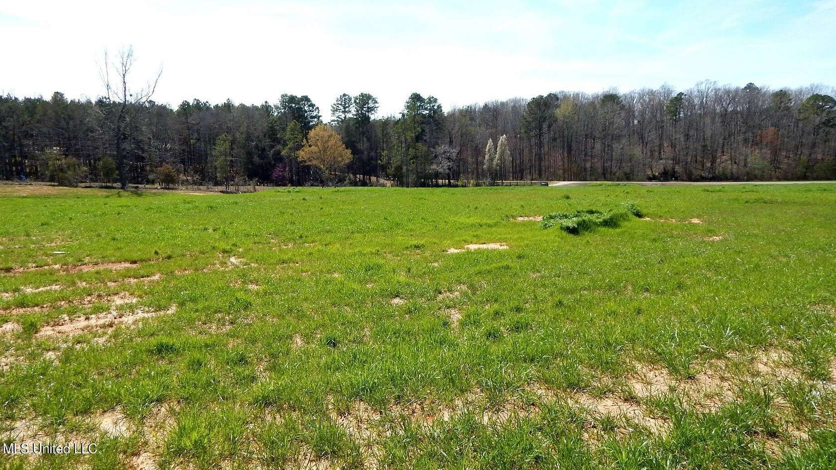 2 Acres of Residential Land for Sale in Gore Springs, Mississippi